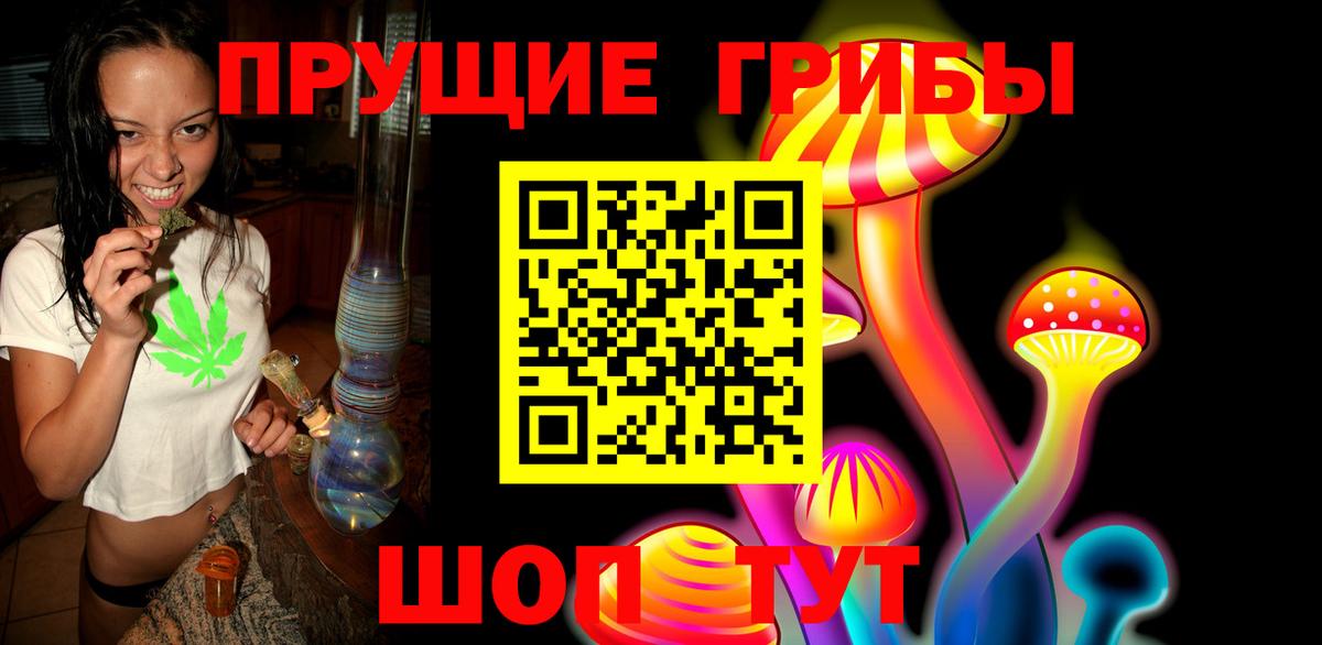 Свободный  Галлюциногенные грибы MAGIC MUSHROOMS  Вход с VPN  Псилоцибиновые грибы Psilocybe 