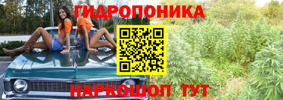 Шишки марихуана MAZAR  Вход с VPN  Шишки марихуана THC 21%  Свободный  Конопля White Widow  Бошки марихуана семена 